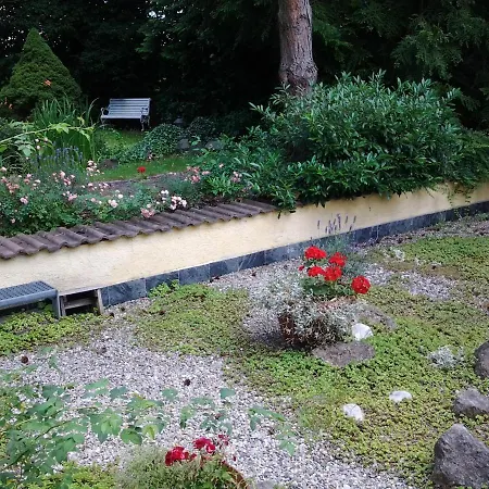 Seebach Vermietung Apartament
